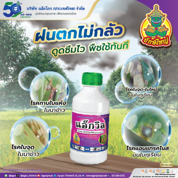 แอ็กวิล